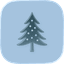 Kuusi icon